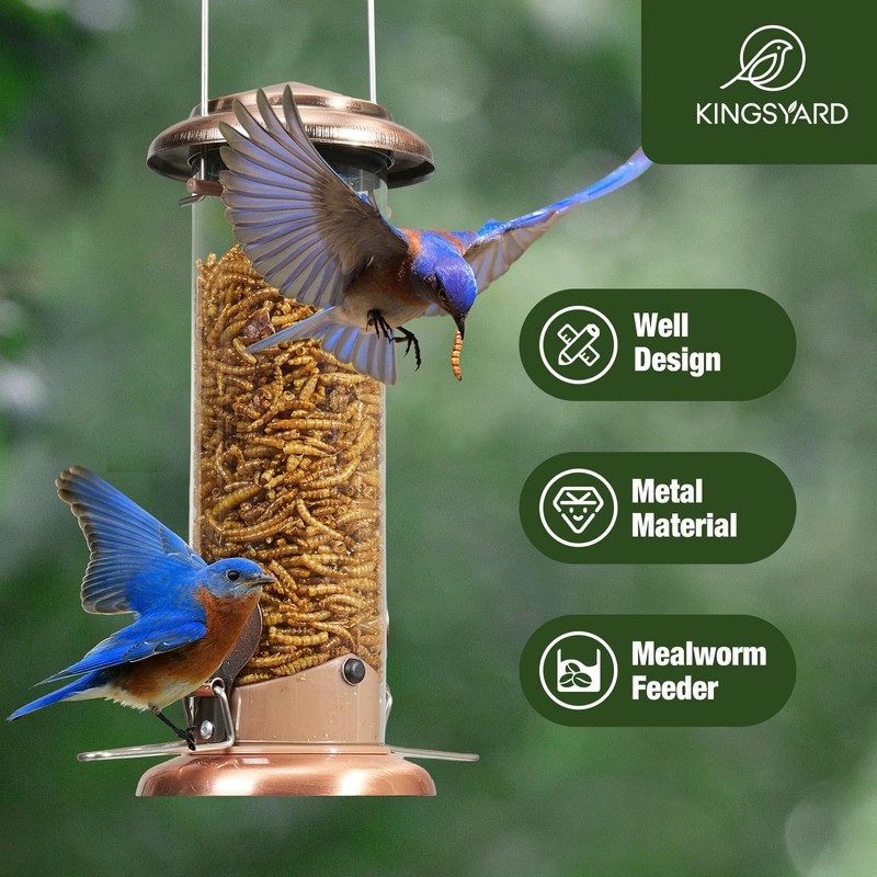 Kingsyard Upgraded Bluebird Feeder for Outdoors Hanging, Metal Mealworm Tube
