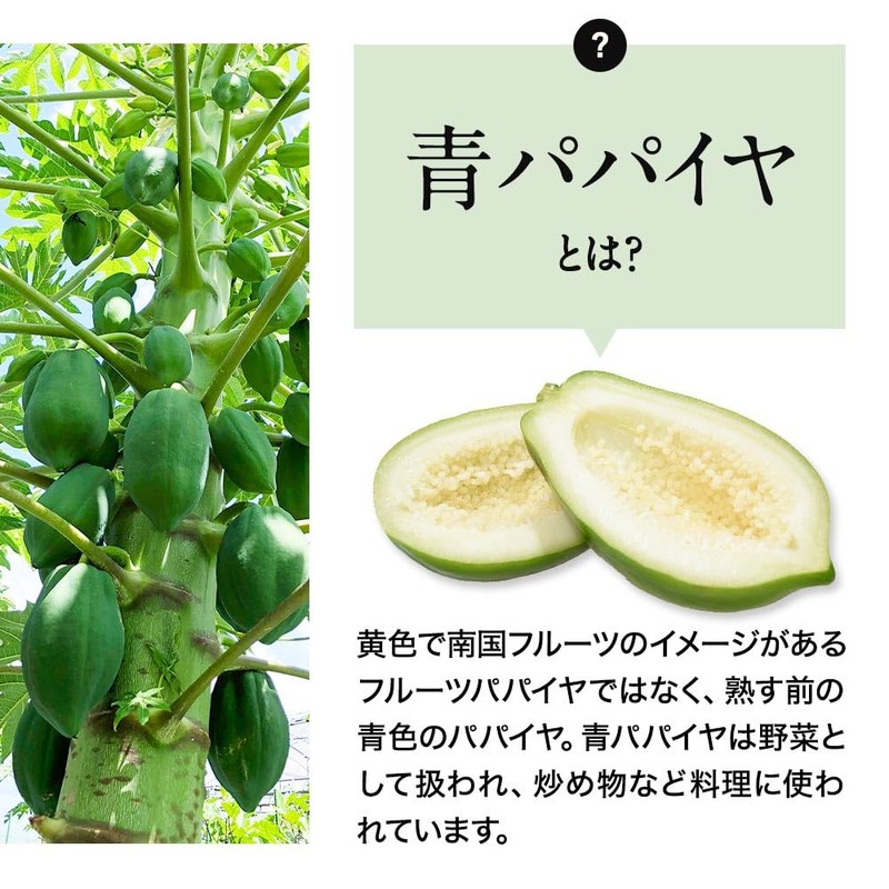 オーガランド 酵素の恵み（60g）青パパイヤ酵素 パパイヤ酵素 青パパイヤ パウダー鹿児島産 無農薬 無添加 粉末