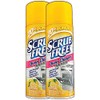 All in One Scrub Free Oven Cleaner Heavy Duty -