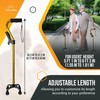 VIVA CARE Walking Cane with 4 Prongs and Extra Side