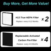 2 pack - BF35 True Hepa Filter Replacement - for