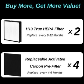 2 pack - BF35 True Hepa Filter Replacement - for BreatheSmart Classic Air Purifier - Compatible with BF35 Includes 2 H13 Grade True Hepa Filters & 4 Carbon Pre-Filters