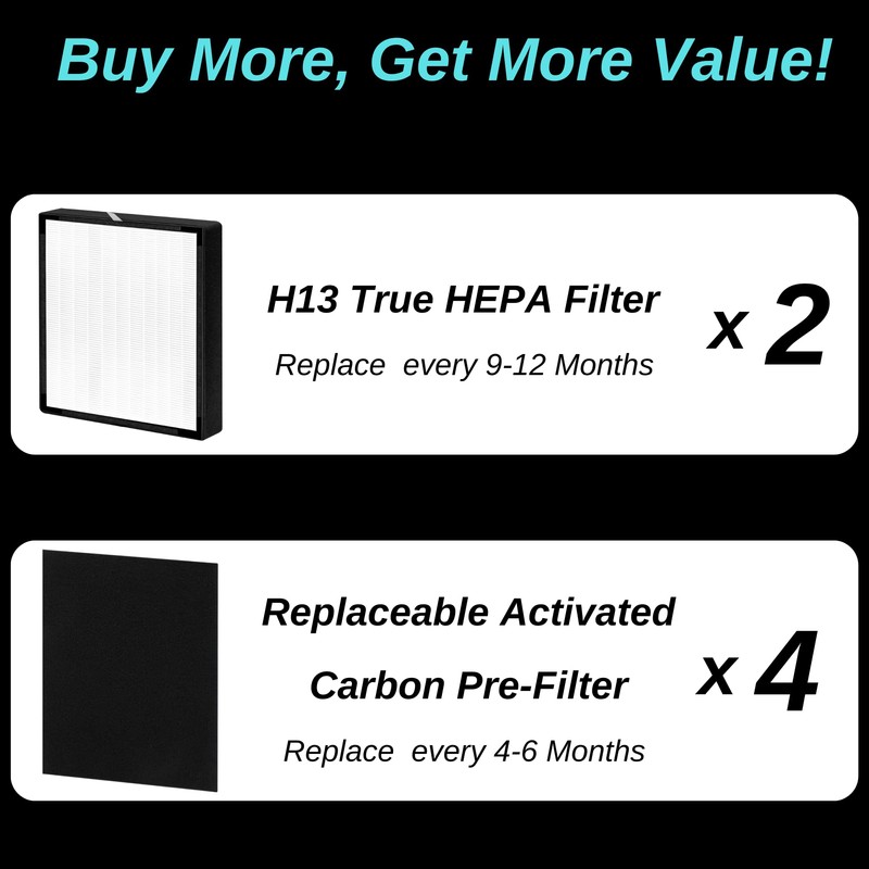 2 pack - BF35 True Hepa Filter Replacement - for