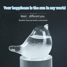 SUNJULY Storm Glass, Unusual Gifts Women Ladies,Weather Stations Weather Forecaster Barometer, Barometer Indoor For Valentines Day Gifts, Unique Christmas Birthday Gifts For Women