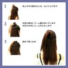 Hero Hair Arrangement Comb Half Up Comb Brown J569