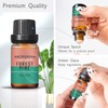 AROPERIMA Forest Pine Fragrance Oil, Premium Grade Scented Oil for