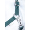 HKM by Reiterladen24 Basicline Headcollar Dark Green Pony