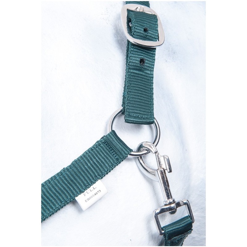 HKM by Reiterladen24 Basicline Headcollar Dark Green Pony