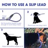 Slip Leads for Dogs Rope Leash, 1cm/0.4" Dia, 135cm/53 Long,