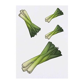 Azeeda 4 x 'Lauch' Temporäre Tattoos - Wasserfest, Hautfreundlich & Ungiftig · Transfers in Verschiedenen Größen (TO00056940)