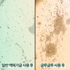글루글루 입냄새제거 무알콜 고체가글 (1박스x36정) GluGlu Alcohol-Free Solid Gargle (1