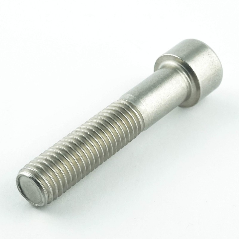 Eisenwaren2000 Cylindrical Screws with Hexagon Socket M8 x 170 mm