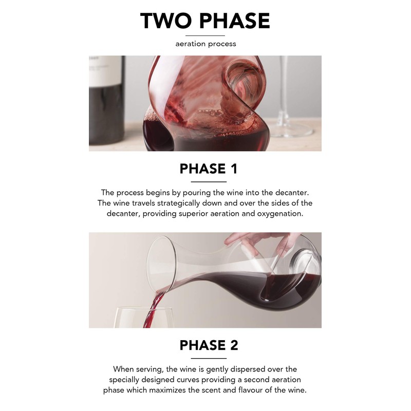 Final Touch 25.4-Oz. L'Grand Conundrum Aerator Decanter by Final Touch