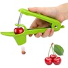 Cherry Pitter, Cherry Stoner Remover, Olive Pitter, Cherry Pitter Tool,