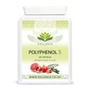 Hellenia Polyphenol 5 | 5-a-Day Fruit & Veg Dietary antioxidants