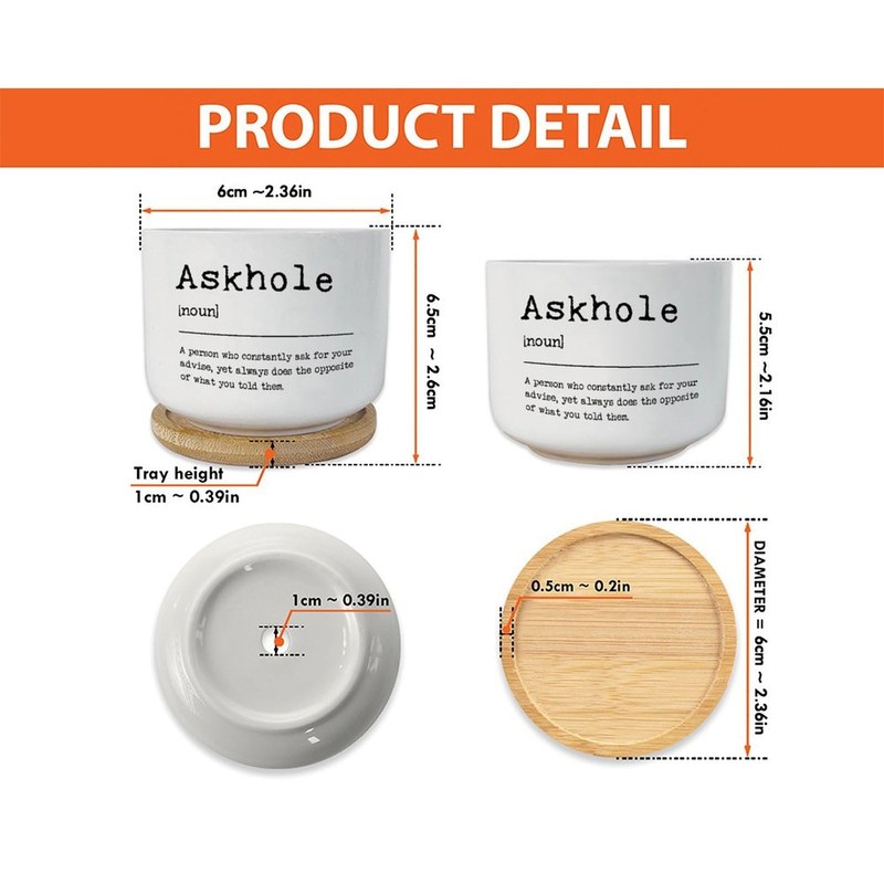 DecStic Askhole Definition Planter Ceramic Bible Verse Round Flower Pots