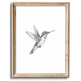 uniro Vintage Wall Art Prints Farmhouse Decor Hummingbird Sketch Canvas Oil Painting Black and White Bird Neutral Vintage Artwork Pictures for Bedroom Living Room Decor (8" x 10"-UNFRAMED)