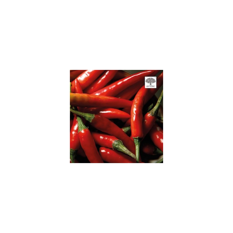 New Nordic Chili Burn 60 Tablets