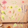 【5 Mil】Self Adhesive Laminating Sheets, 8 x 11 Inch Laminate