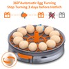 Egg Incubator with Automatic Egg Turning and Humidity Control, Intelligent