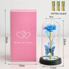 Valentines Day Romantic Gift Galaxy Rose LED Glass Dome Butterfly
