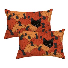Artoid Mode Black Cat Pumpkins Autumn Cushion Covers Set of 2 30 x 50 cm Case Decorative Cushion Cover Couch Living Room Decoration