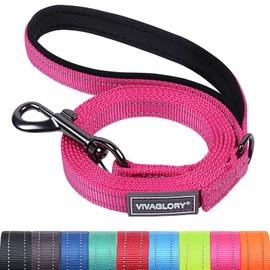 VIVAGLORY Dog Lead, Dog Lead for Walks with Comfortable Neoprene Padded Handle, Heavy Duty Training Lead for Small to Medium Dogs
