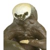 Safari Ltd. Two-Toed Sloth- Realistic Hand Painted Toy Figurine Model