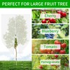 Large Fruit Tree Netting, Cookmaster 10x10Ft Insect Bird Barrier Netting