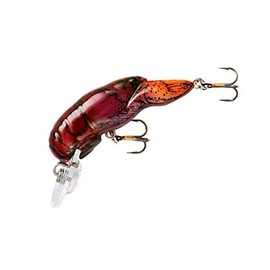 Rebel Teeny Wee Craw Flaming Junebug