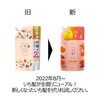 Ichikami Dense W Moisturizing Care Shampoo Refill 2 Doses, 24.0