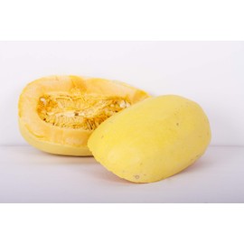 Spaghetti Winter Squash Seeds - Non-GMO - 5 Grams, Approx. 30-40 Seeds