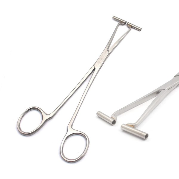 DDP STAINLESS STEEL 'SEPTUM RING PIERCING CLAMP FORCEP TUBE TUNNEL WITH RATCHET FOR NOSE