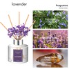 Fresh Lavender Reed Diffuser Set - 3.38 fl oz (100ml)