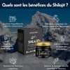 MOVEZEN Shilajit +