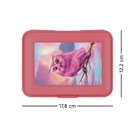 Baagl Children's Lunch Box for School – Lunch Box for Girls, Boys, Nursery – Lunch Box, Snack Box (Owl)