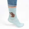 Wrendale Designs - 'Hedgehugs' Socks
