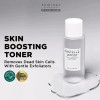 Vkit Aclarador De Tonos Skin1004 Madagascar Reduccion .
