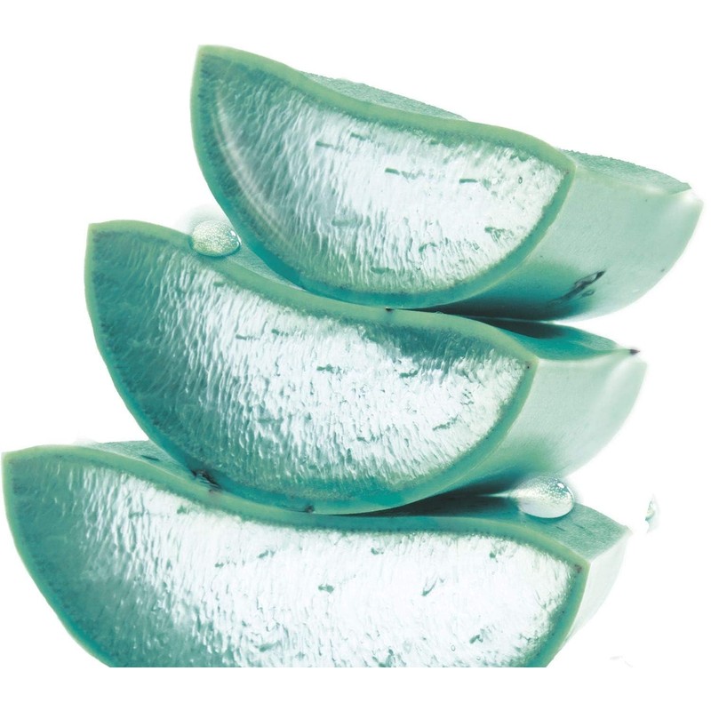 Garnier, Hyaluronic Aloe Gel Cleansing Gel for All Skin Types,