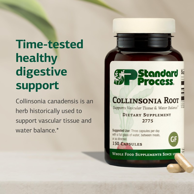 Standard Process Collinsonia Root - Healthy Vascular Tissue Support Supplement