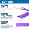 JiiinMiiin Sling Belt, Load Capacity 2204.3 lbs (1000 kg), Length