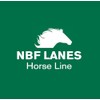 NBF Lanes Ribes Horse Respiro 10 Bags of 25 ml