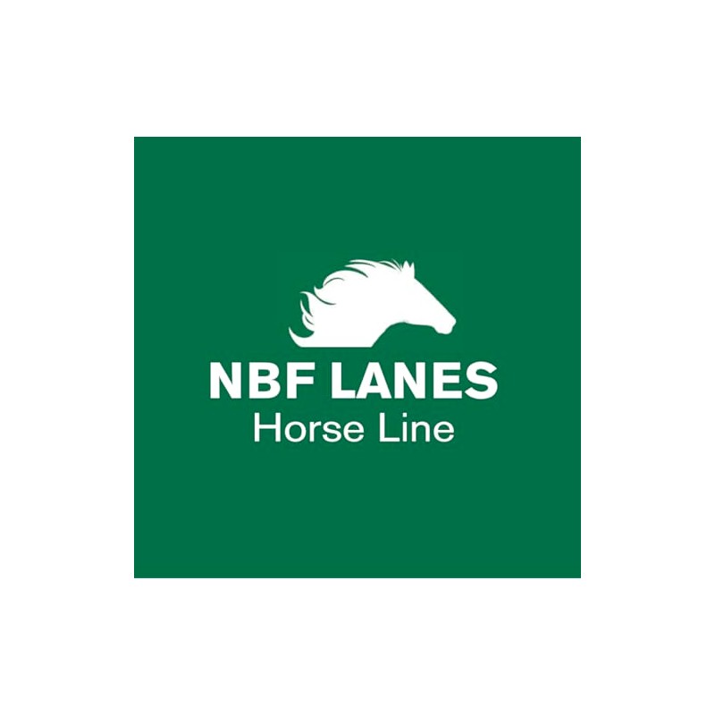 NBF Lanes Ribes Horse Respiro 10 Bags of 25 ml
