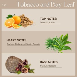 Ethlauff Tobacco & Bay Leaf Fragrance Oil 3.38FL.OZ - Tobacco Scented Oil for Candle Scents for Candle Making, Soap Making Scents, Diffuser Oils Scents