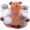 Ceramic Pig with Glass Salt & Pepper Shakers, Size L