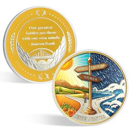 CHURYUML 5 Month Sobriety Coin Original Hope or Storm AA Coins Non-Religious Recovery Medallions Five Month Sober Chip Sobriety Gifts for Women Men Alcoholics Anonymous Addiction Recovery Gift