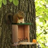 Relaxdays 1 x Wooden Squirrel Feeder with Corn Cob Holder