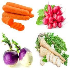 Root Vegetable Seeds Variety Pack – Carrot, Radish, Turnip & Parsnip – Non-GMO Heirloom Garden Seeds for Planting – Home Vegetable Garden Starter Kit – Easy to Grow, High Yield