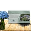 Outsidepride Blue Forget Me Not Seeds - 10000 Pcs Low