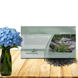 Outsidepride Blue Forget Me Not Seeds - 10000 Pcs Low Growing, Self-Sowing Perennial Flower Seeds for Planting Dense Blue Blooms & Upright Growth Habit for Meadows, Pollinator & Cottage Gardens